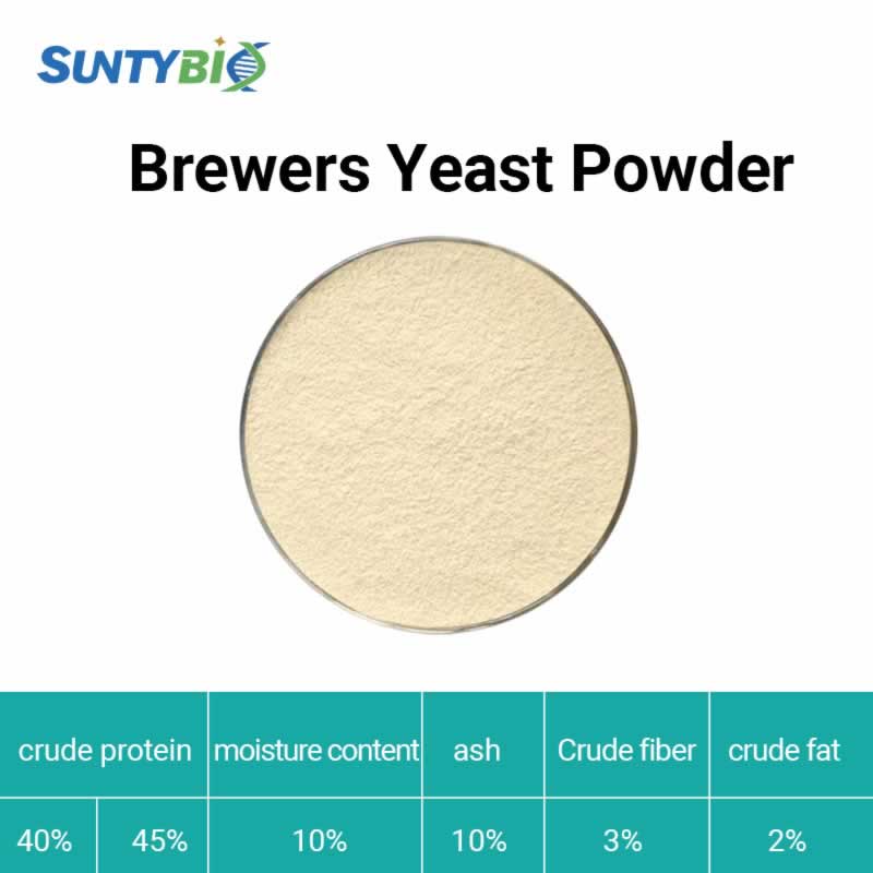 Levure de bière en poudre
