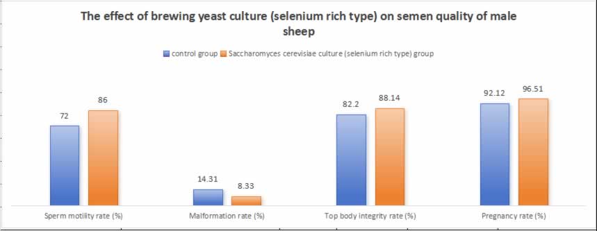 Expérience sur les ruminants