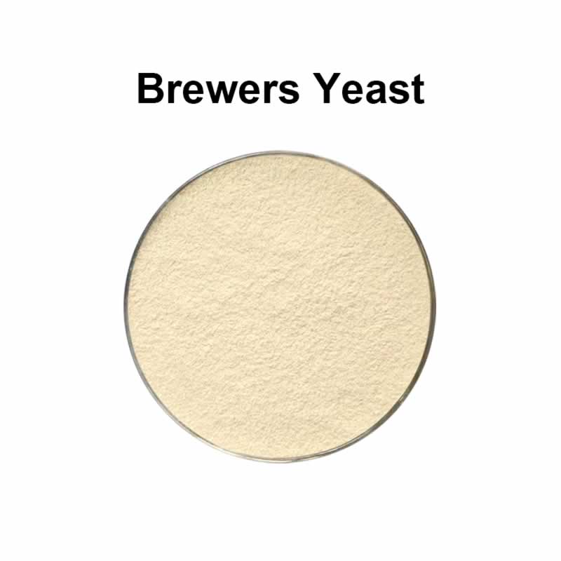 Levure de bière en poudre