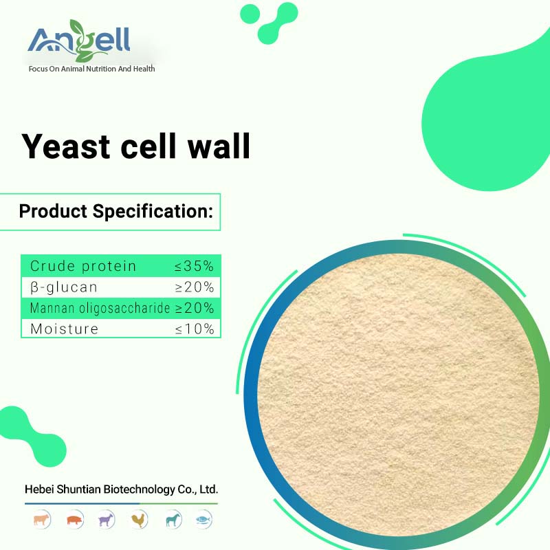 Paroi cellulaire de levure pour l'adsorption des mycotoxines